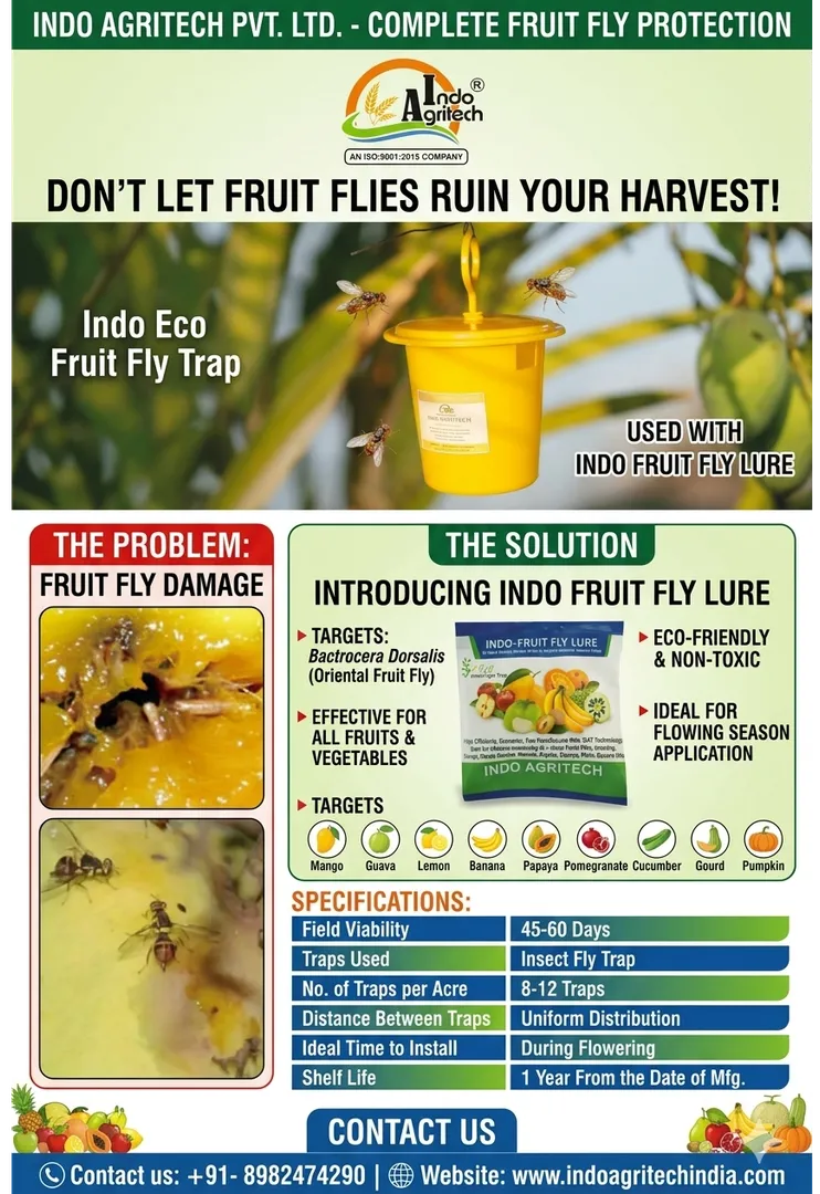 Indo Fruit Fly Lure for Fruit Fly (Bactrocera Dorsalis)