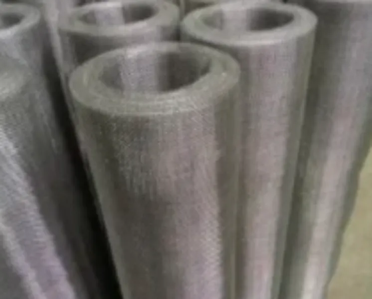 Stainless Steel Wire Mesh Roll Manufacturer and Supplier in Gurgaon for Strong and Long Term Protect