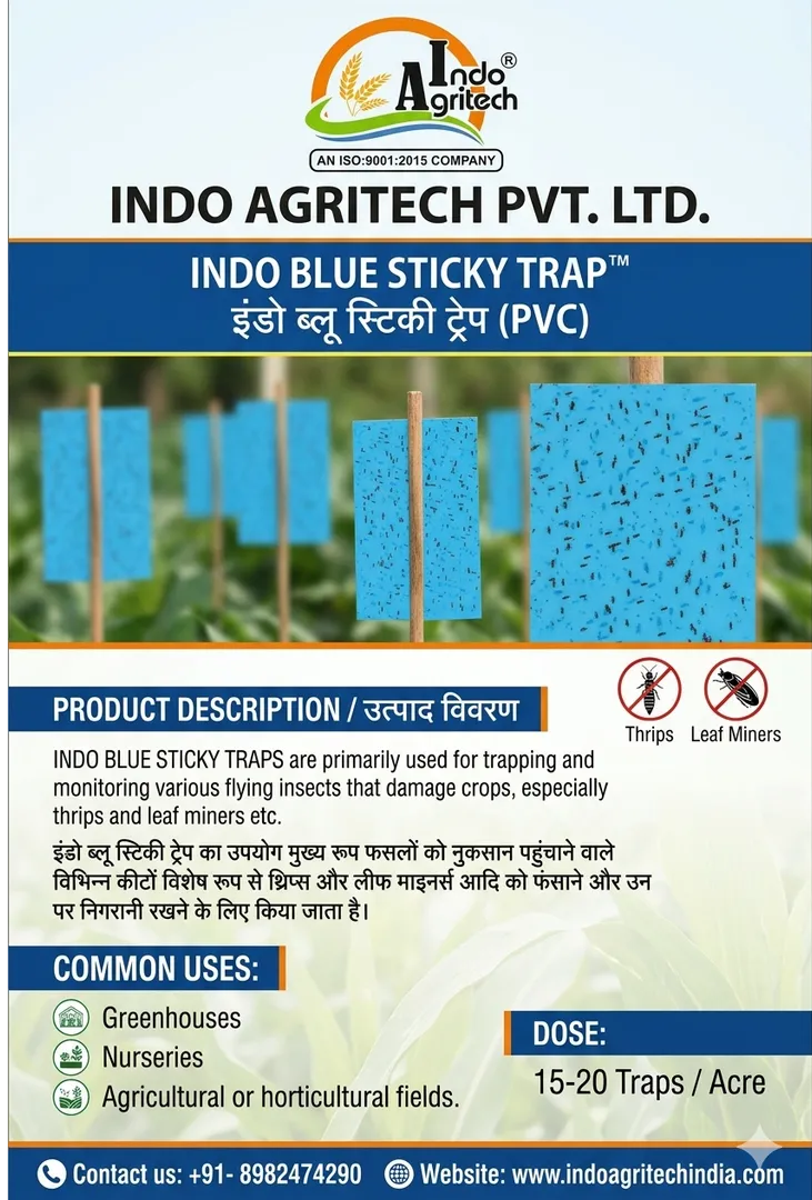 INDO BLUE STICKY TRAP (Smart Pest Control Solution for Indian Agriculture) - Thrips and Leaf Miners