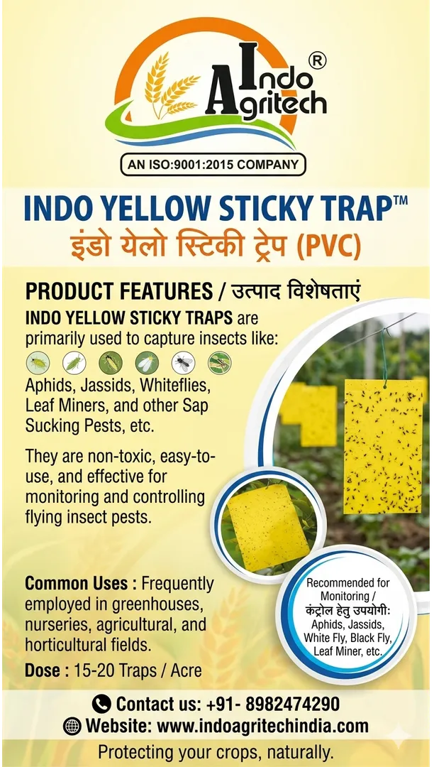 INDO YELLOW STICKY TRAP (Flying Insect like APHIDS, WHITEFLIES and LEAF MINERS)