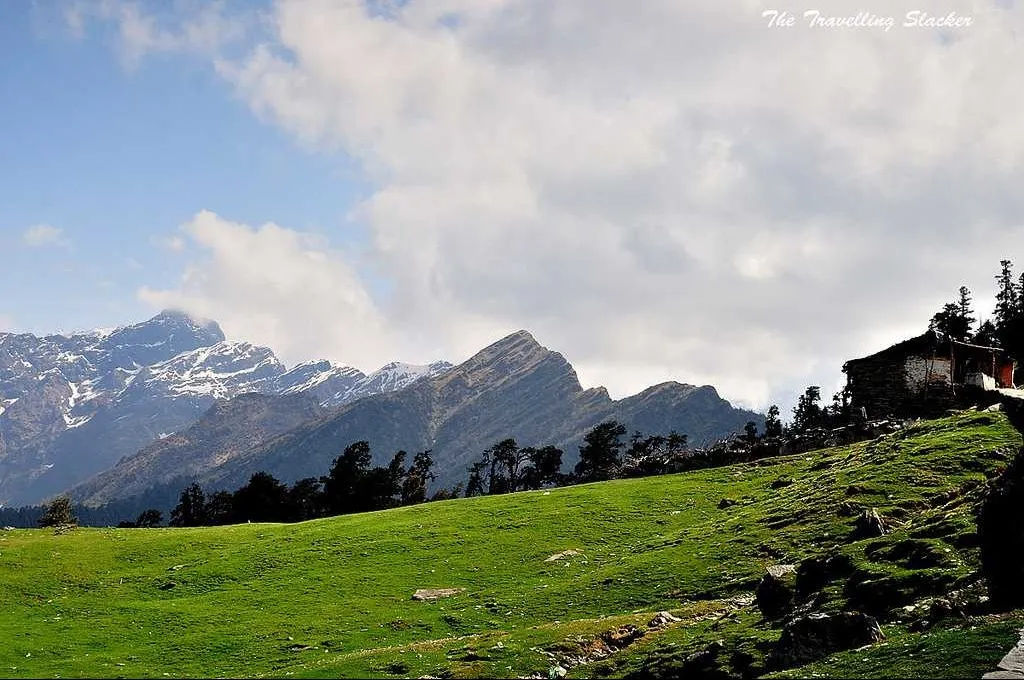 Tourist Places in Uttarakhand
Chopta
Chopta Tourism
Chopta, a small hamlet located in Uttarakhand...