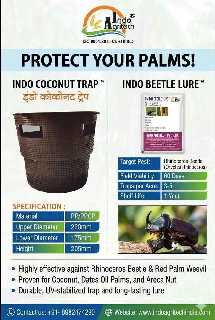 Sustainable Rhinoceros Beetle Management for Coconut Plantations