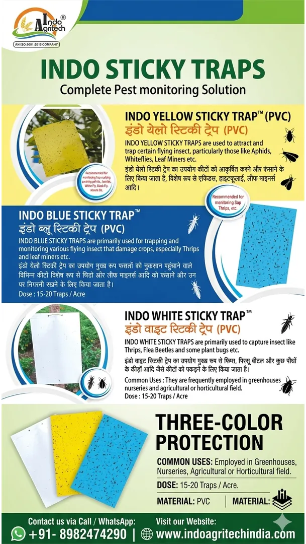π‘οΈ Safeguard Your Crops with Indo Sticky Traps (Yellow, Blue & White)! πΎπ«π