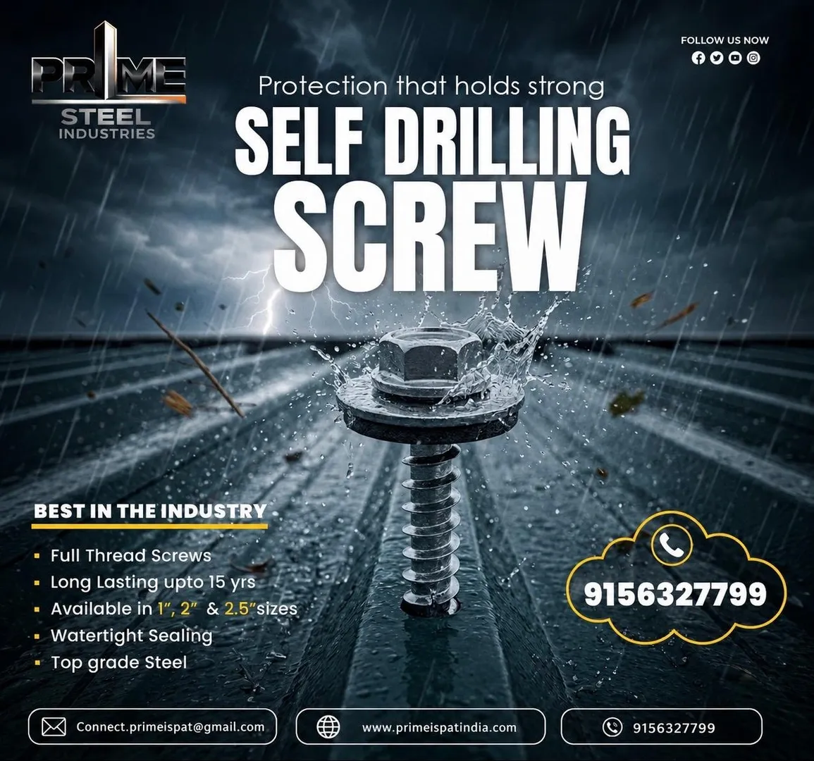 Self Drilling Screw leading Supplier