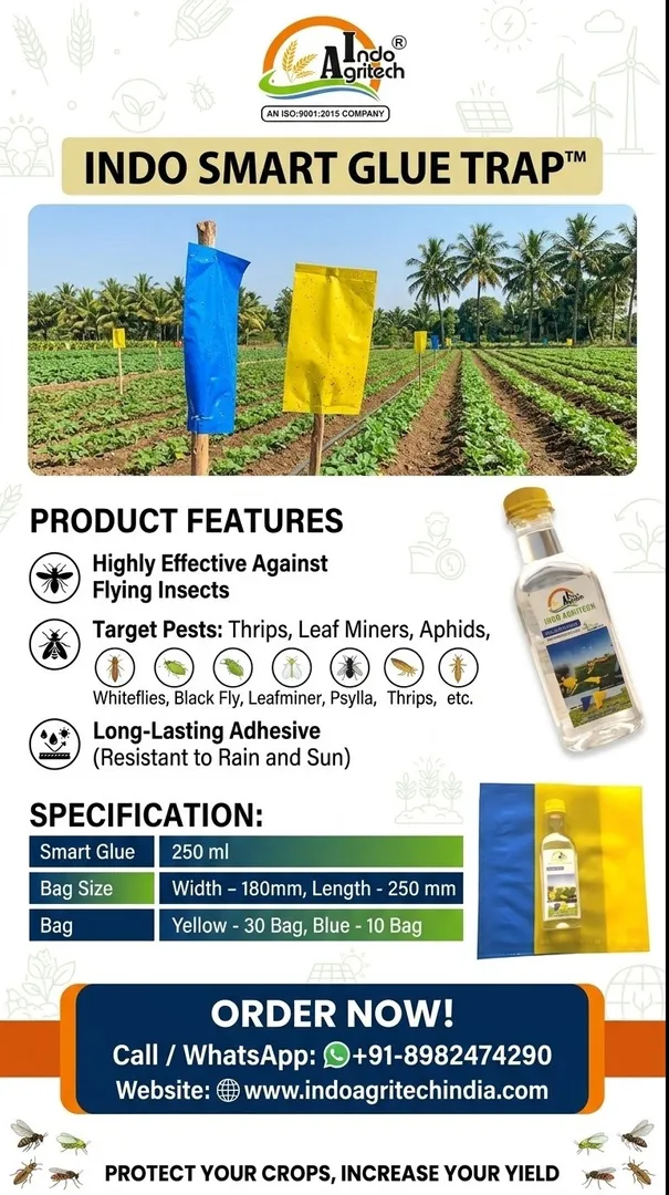 Indo Smart Glue Trap - Specialized agricultural tool Designed to Monitor and Manage flying pests