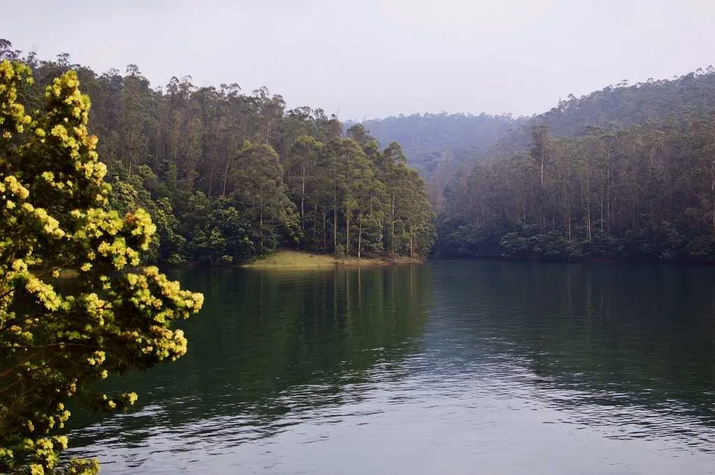 Places To Visit In Ooty
Pykara Lake
Pykara Lake, Ooty Overview
Pykara Lake is a popular getaway t...