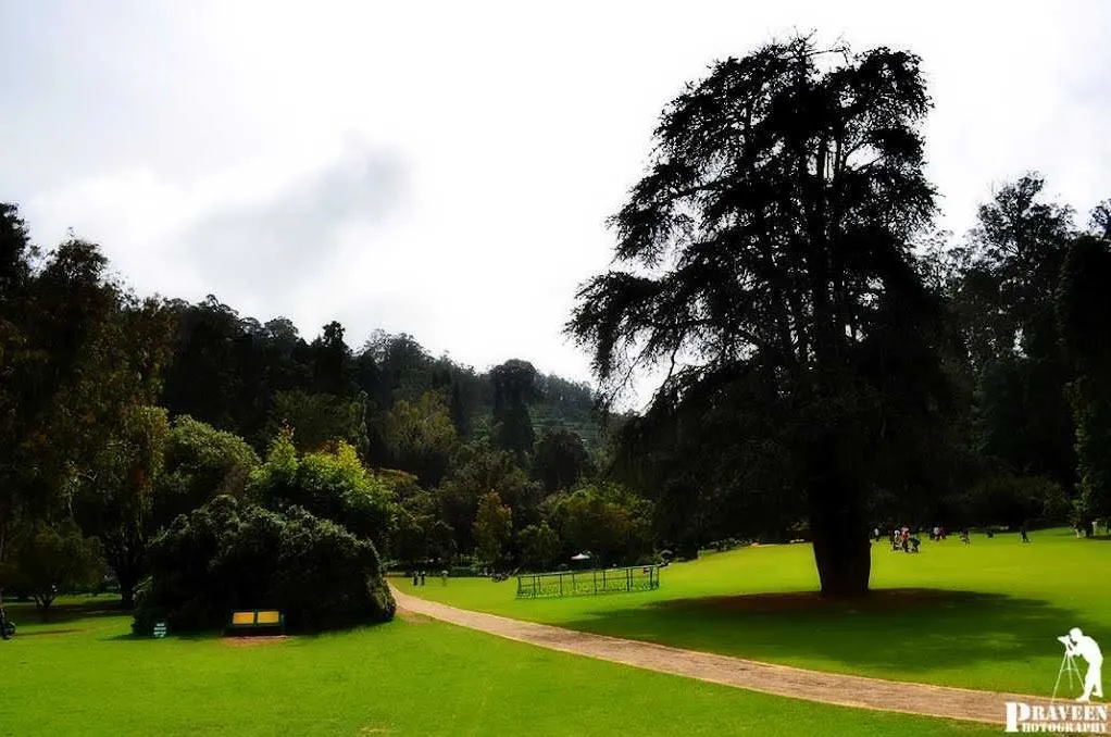 Places To Visit In Ooty
Ooty Botanical Gardens
Ooty Botanical Gardens, Ooty Overview
Ooty Botanic...
