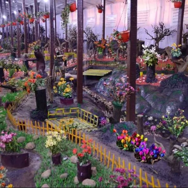 Places To Visit In Ooty
Thread Garden
Thread Garden, Ooty Overview
The thread garden at Ooty is a...