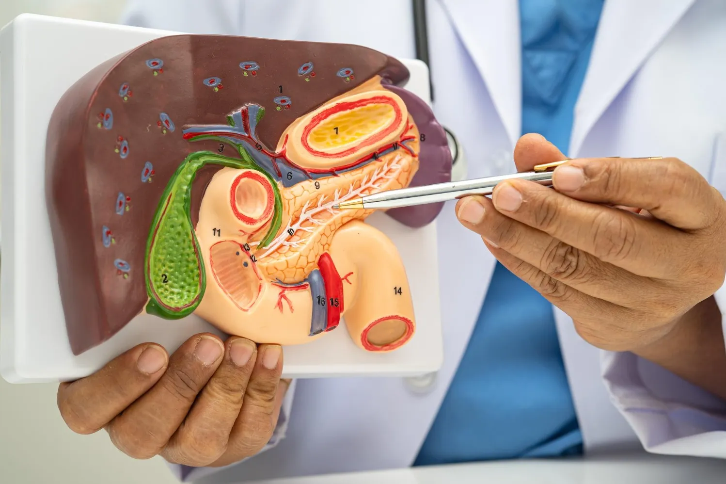 Laparoscopic Gall Bladder Surgery in Navi Mumbai Explained Simply
