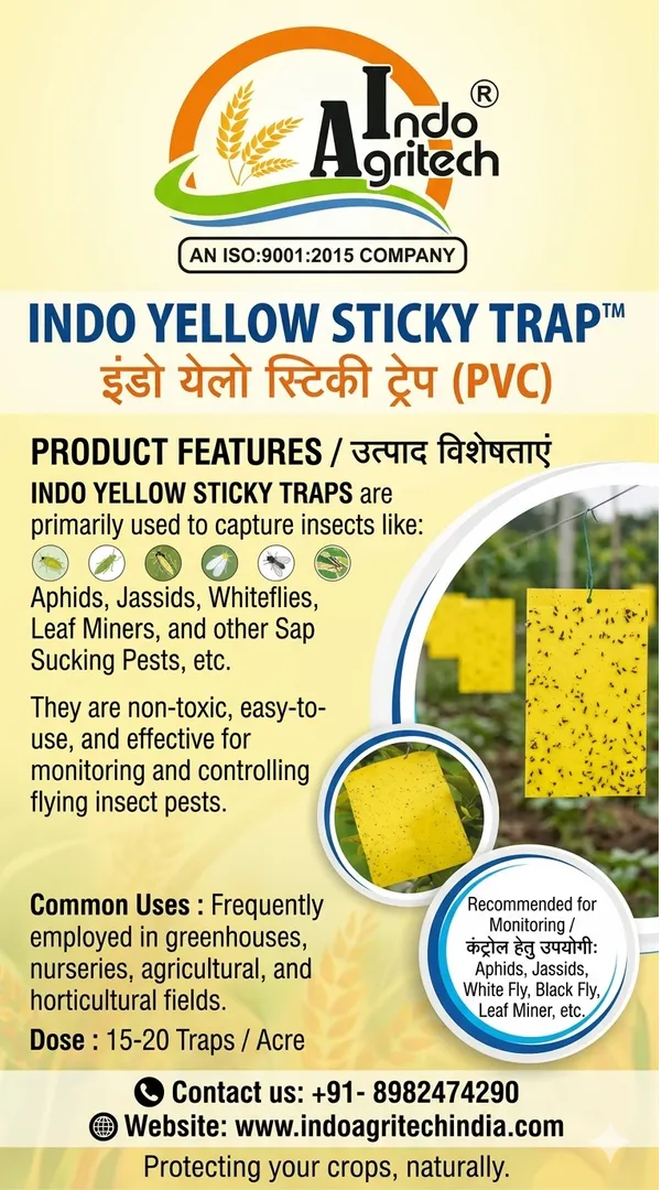 INDO YELLOW STICKY TRAP (Flying Insect like APHIDS, WHITEFLIES and LEAF MINERS)