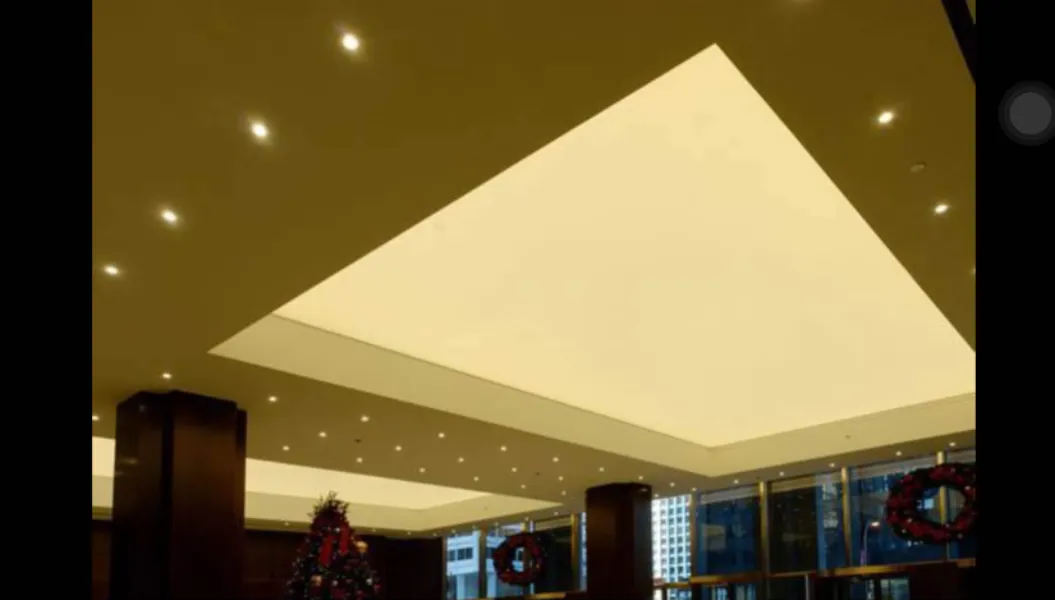 Down Lights in Hyderabad for Sleek Ceiling Design and Balanced Everyday Lighting