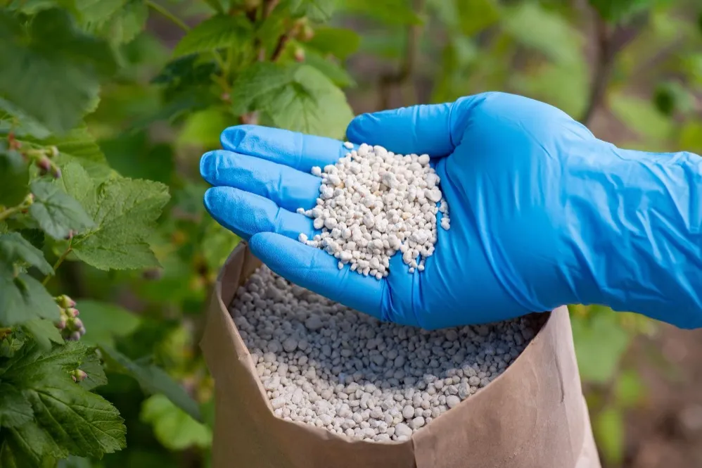 Fertiliser Solutions in Nagpur Supporting Healthier Plant Growth Naturally