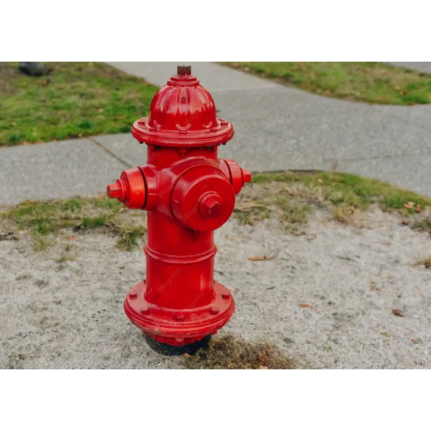 Fire Hydrant System in Delhi