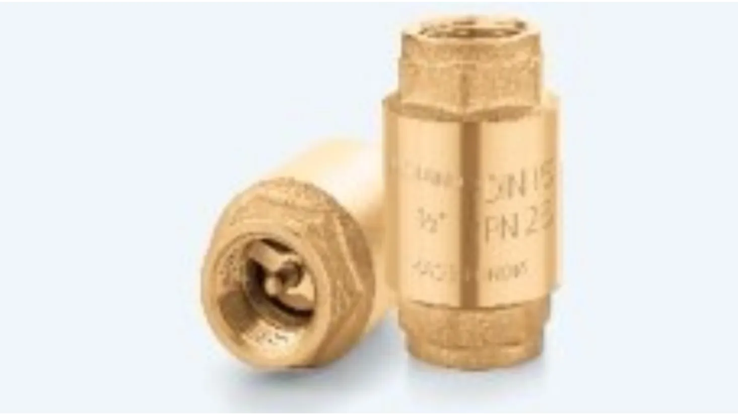 NRVs in Mumbai Industrial Grade Non Return Valve Solutions