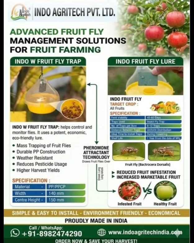 Indo W Fruit Fly Trap & Indo Fruit Fly Lure - Smart Pest Monitoring for Healthier Fruit Crops