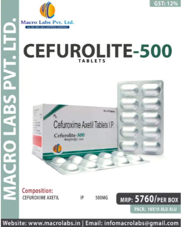 Pharma Franchise Marketing Support in Zirakpur Why Guidance Makes a Difference
