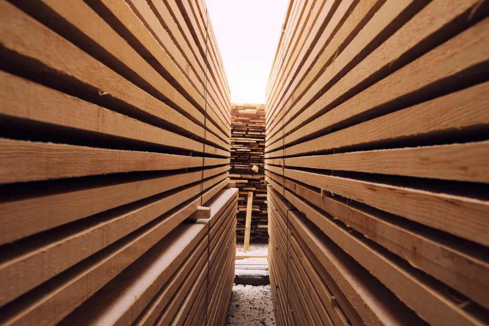Timber Market Plywood Supplier in Pune Supporting Reliable Material Sourcing for Interior Projects