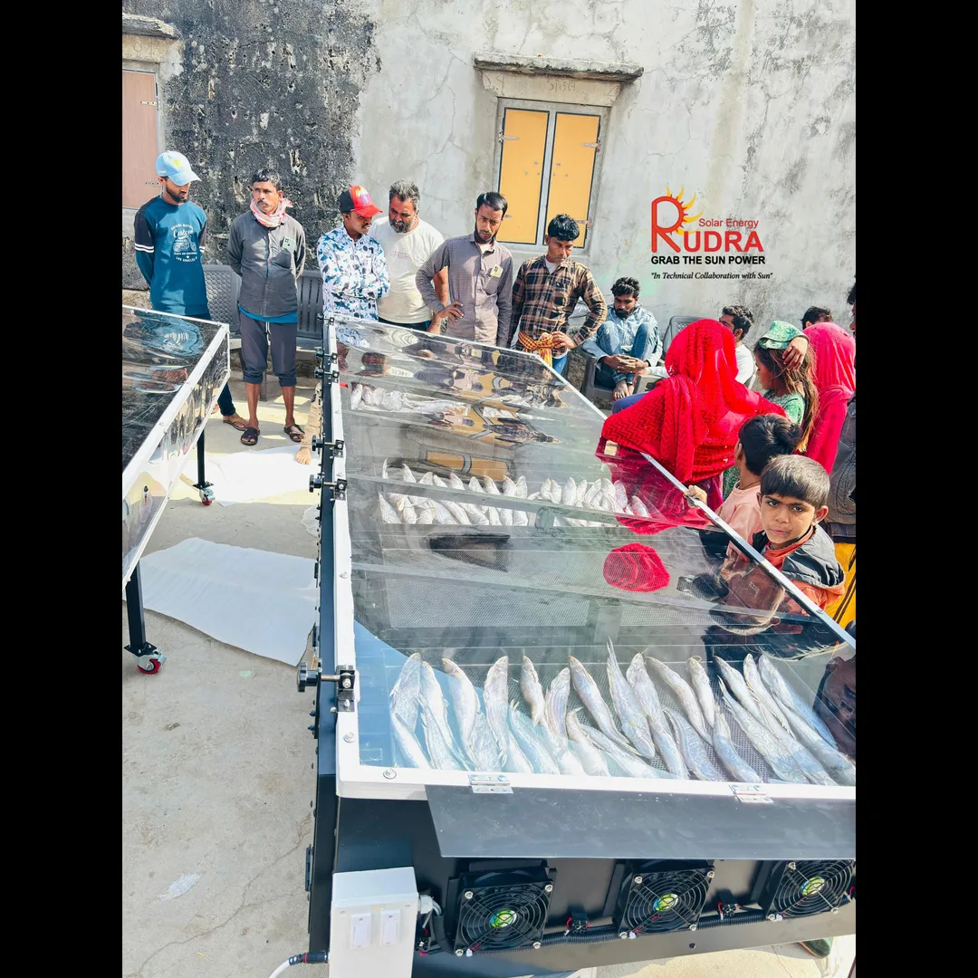 Solar Drying Of Meat