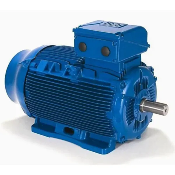 WEG Electric Motor Dealer in Pollachi
