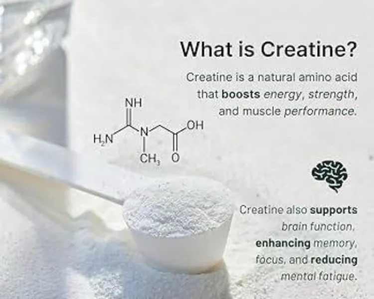 Creatine Monohydrate Micronized Bulk Supply in Faridabad
