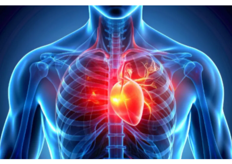 Cardio-Vascular Surgeon in Pune | Understanding Modern Vascular Care