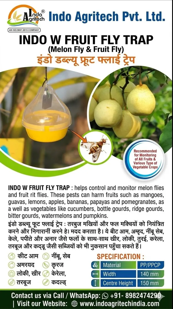 Why Indo Pheromone Lures and Traps are a Game Changer! Indo W Fruit Fly Trap!