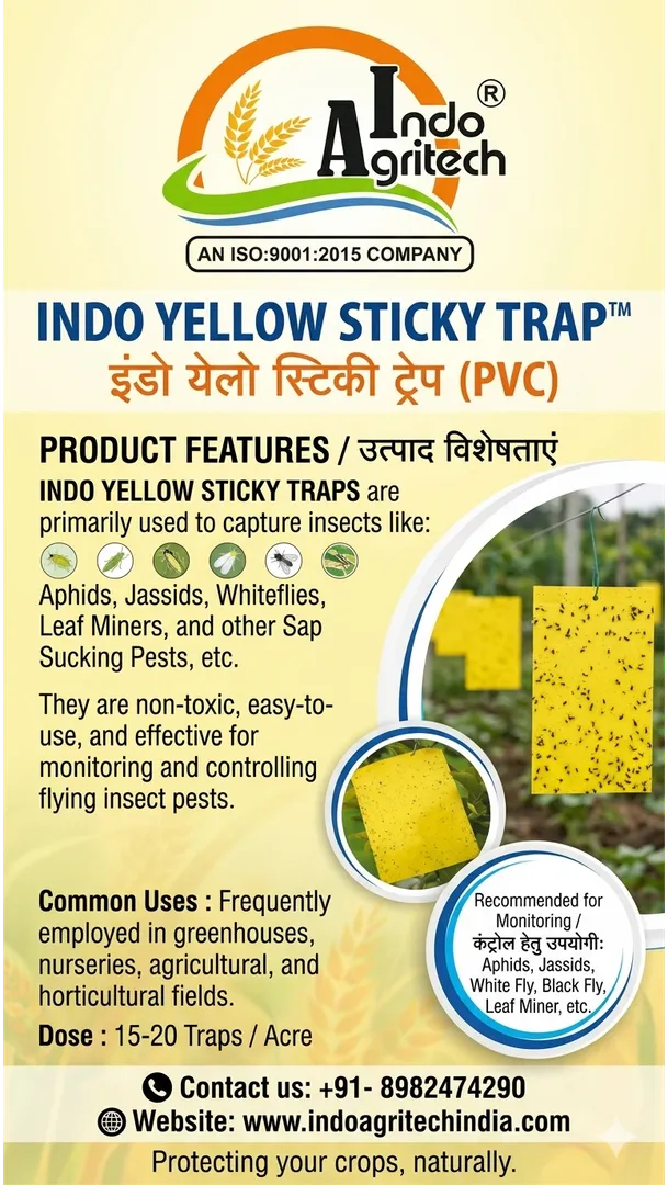 INDO YELLOW STICKY TRAP (Flying Insect like APHIDS, WHITEFLIES and LEAF MINERS)