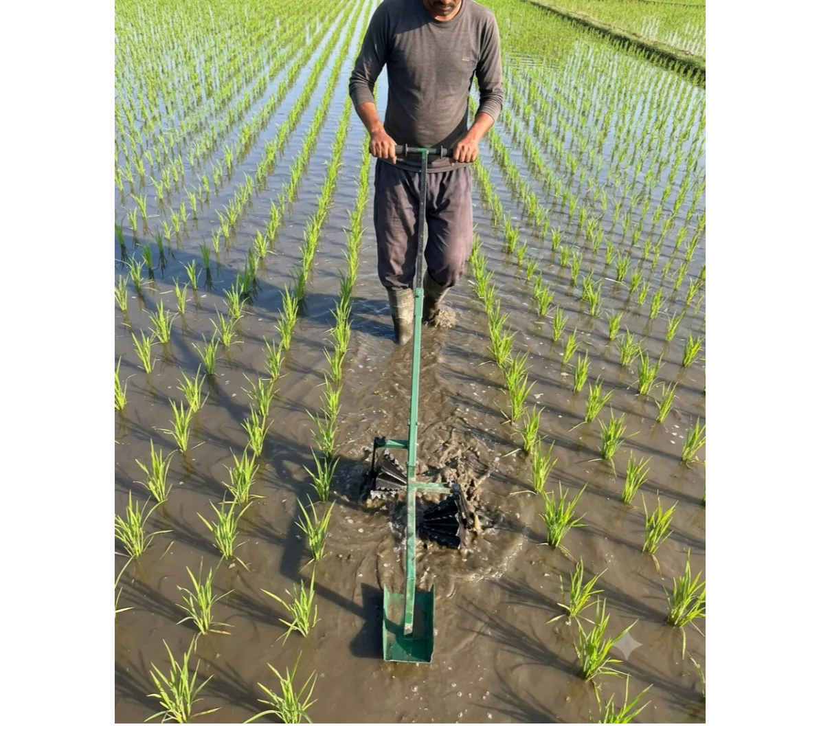 Cono Weeder Manufacturer
