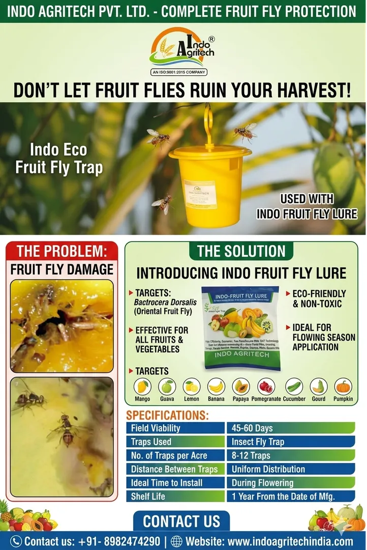 Order Your Indo Eco Fruit Fly Trap and Indo Fruit Fly Lure Today!
