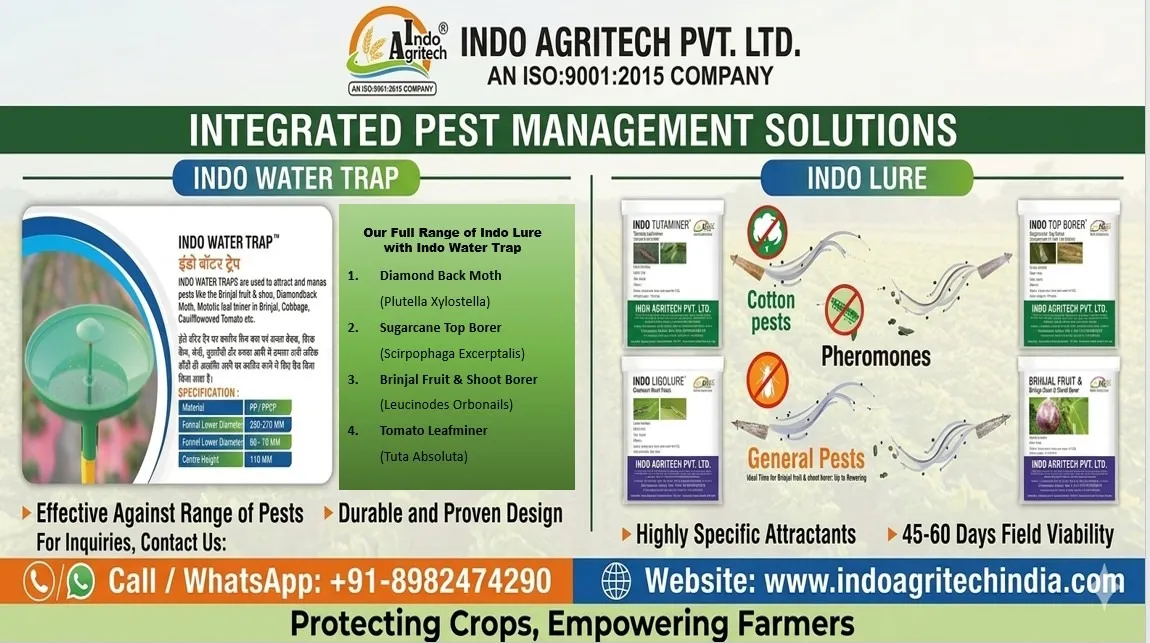 Benefits of INDO WATER TRAP + INDO LURE- ONE INDO IPM TOOL with FOUR INDO LURE