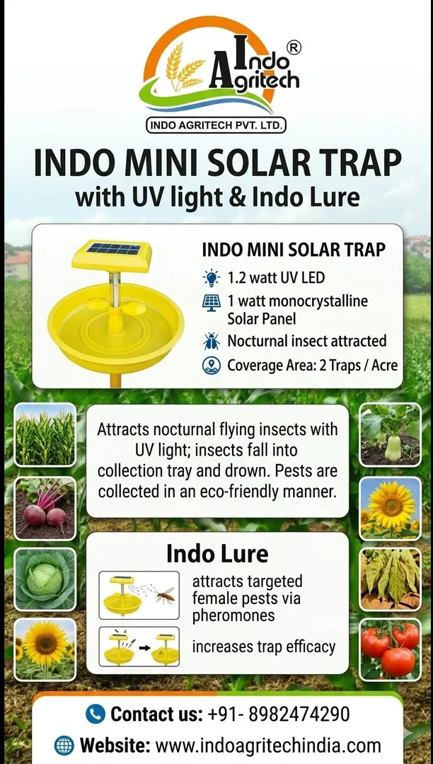 Indo Mini Solar Trap by Indo Agritech Pvt. Ltd "Duo Function Design" DAY & NIGHT FULL PROTECTION