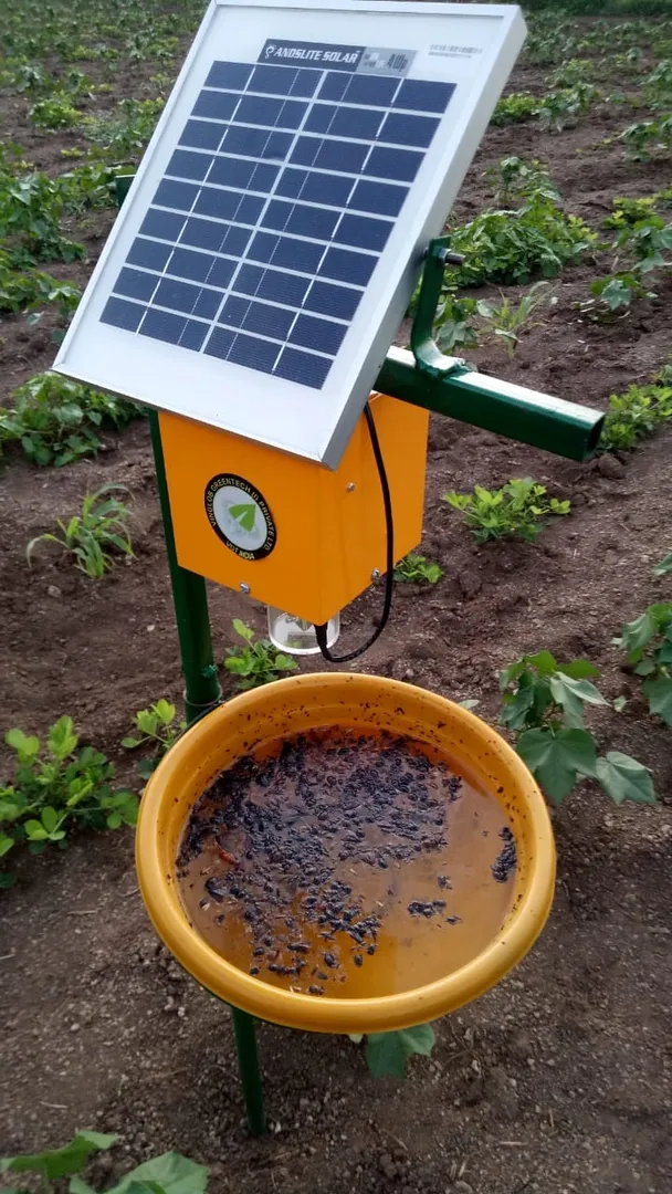4 Watt Solar Insect Trap Manufacturer