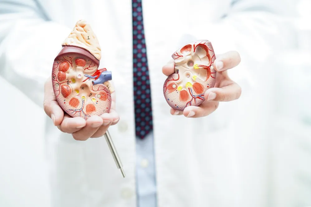 Diabetic Nephropathy Care in Sanpada for Better Kidney Protection and Diabetes Management