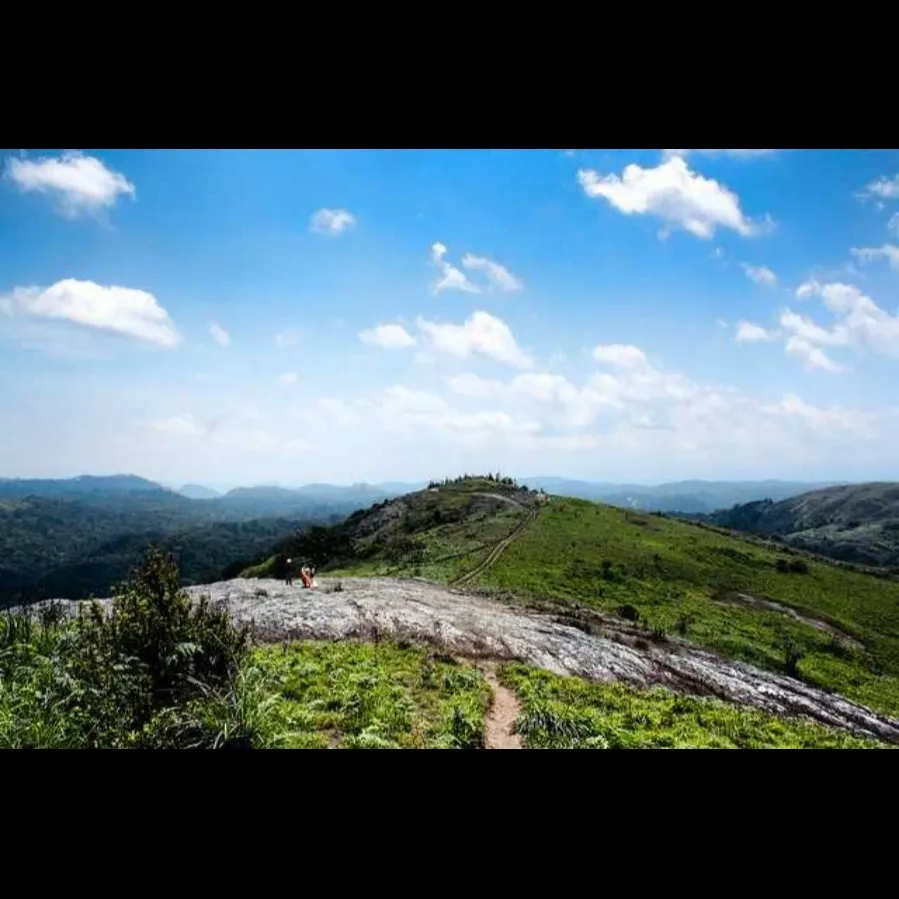 Tourist Places in Kerala
Vagamon
Vagamon Tourism
Vagamon, also known as Wagamon, is a tranquil h...