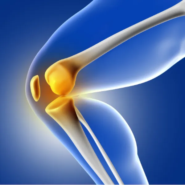 How to Choose the Best Orthopedic Doctor in Thane for Joint, Spine, and Sports Injuries