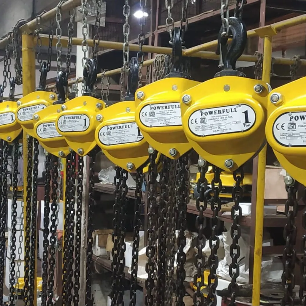 Industrial Chain Pulley Block
