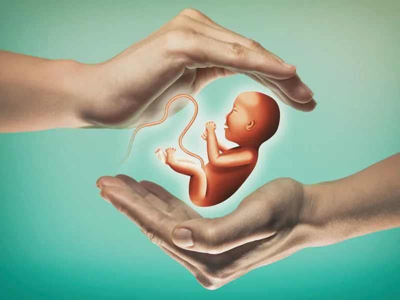 Infertility doctor in Nerul
