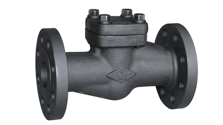 Forged Check Valves Manufacturer in Ahmedabad