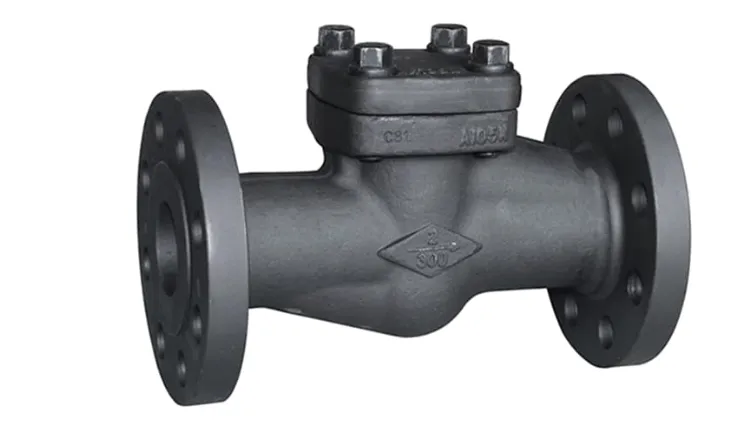 Forged Check Valves Manufacturer in Ahmedabad
