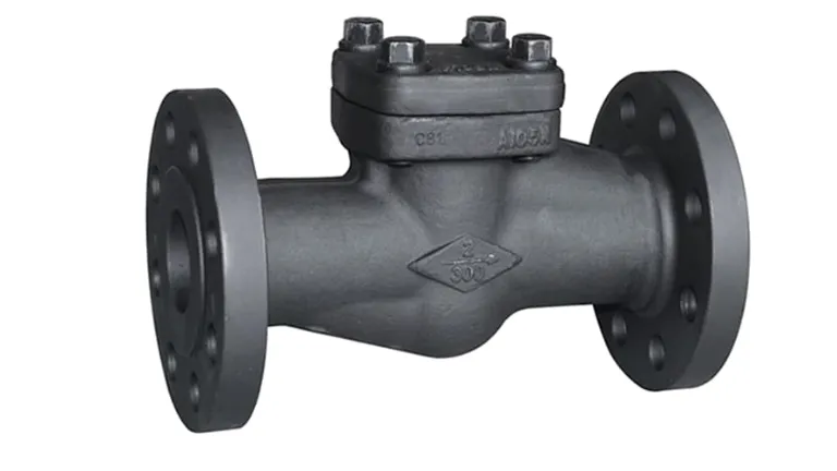 Forged Check Valves Manufacturer in Ahmedabad