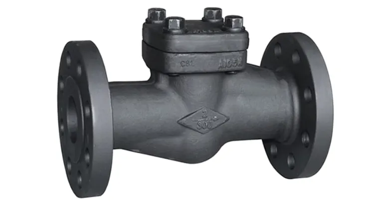 Forged Check Valves Manufacturer in Ahmedabad
