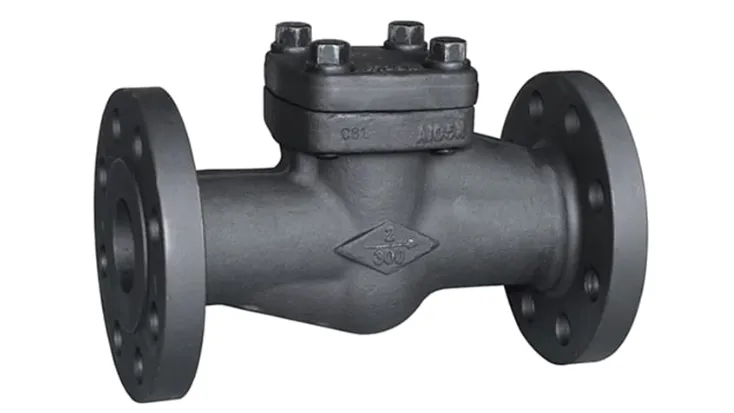 Forged Check Valves Manufacturer in Ahmedabad