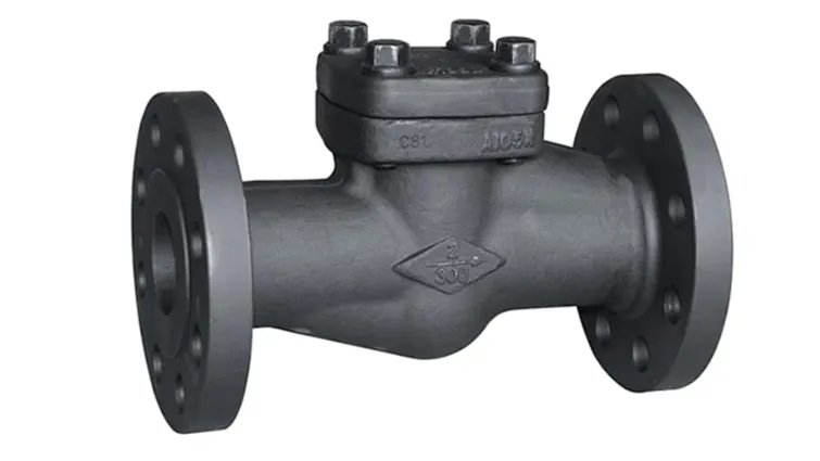 Forged Check Valves Manufacturer in Ahmedabad