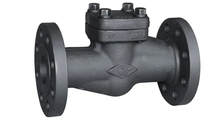 Forged Check Valves Manufacturer in Vadodara