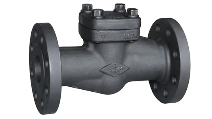 Forged Check Valves Manufacturer in Vadodara
