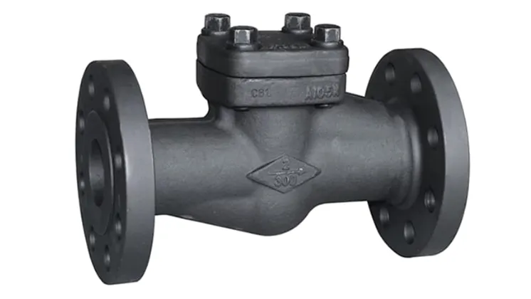 Forged Check Valves Manufacturer in Surat