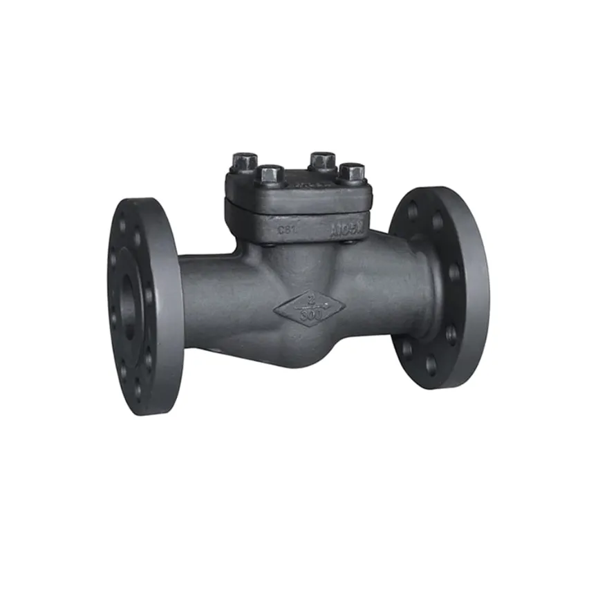 Forged Check Valves Manufacturer in Surat