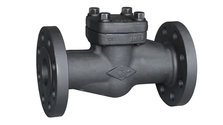 Forged Check Valves Manufacturer in Surat