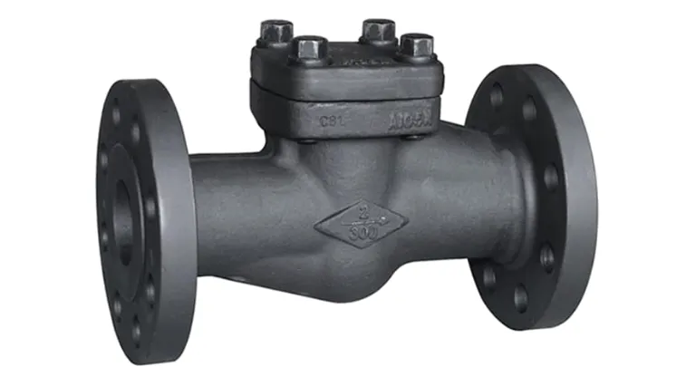 Forged Check Valves Manufacturer in Rajkot