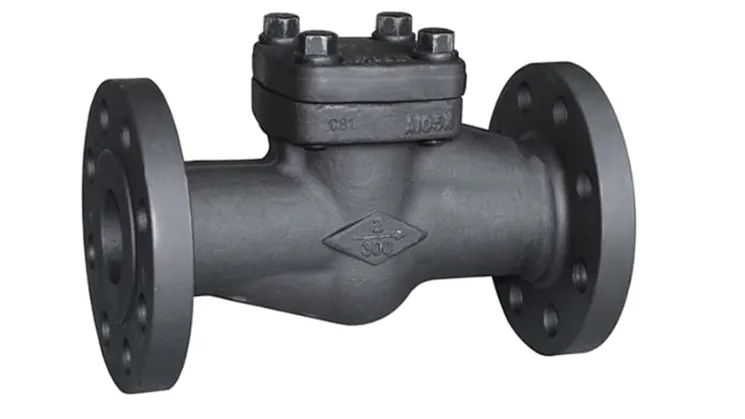 Forged Check Valves Manufacturer in Rajkot